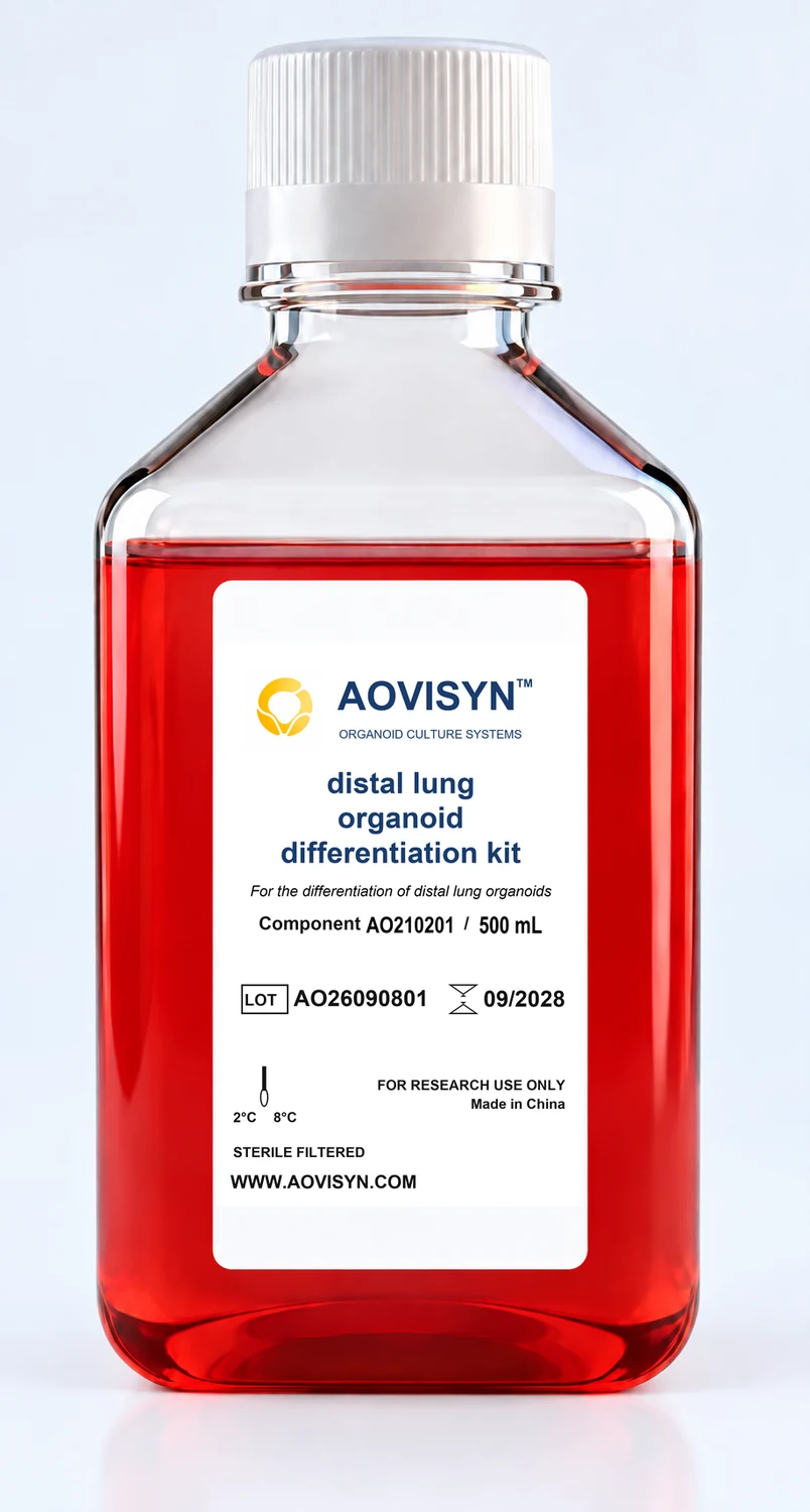 iAlveoli 远端肺类器官分化试剂盒